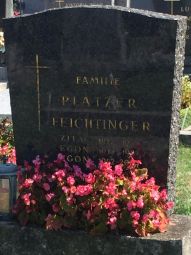 Platzer; Feichtinger