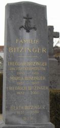 Bitzinger