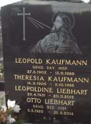 Kaufmann; Liebhart