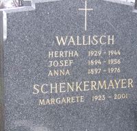 Wallisch; Schenkermayer