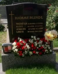 Hammerlindl