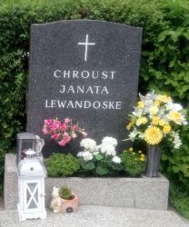 Chroust; Janata; Lewandoske