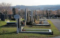 Friedhof, Baumgartner - Panorama