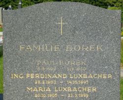 Borek; Luxbacher