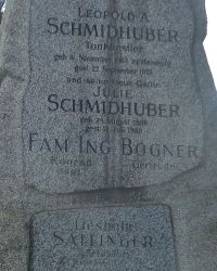 Schmidhuber; Bogner; Salfinger