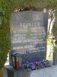 Seidler; Schlossar; Vecsei