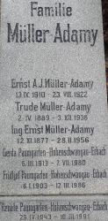 Müller-Adamy; Paumgarten-Hohenschwangau-Erbach