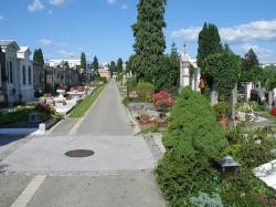 Friedhofsblick