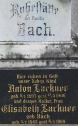 Bach; Lackner; Lackner geb. Bach
