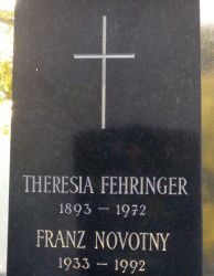Fehringer; Novotny