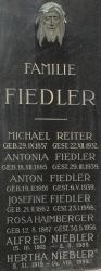 Fiedler; Reiter; Haimberger; Niebler