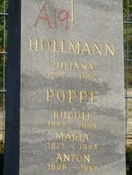 Hollmann