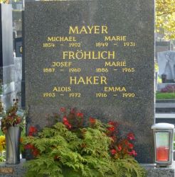 Mayer; Fröhlich; Haker
