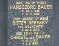 Bauer; Nebesky von Wojkowitz; Nebesky von Wojkowitz geb. Bauer