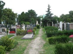 Friedhofsblick