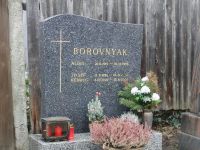 Borovnyak