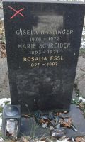 Haslinger; Schreiber; Essl