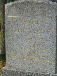 Pelzer; Holzinger