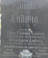 Ludwig; Hegedüs