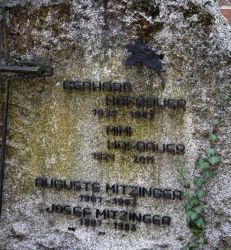 Hofbauer; Mitzinger