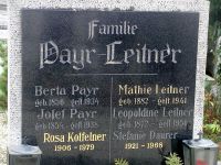 Payr; Leitner; Daurer; Kolfelner
