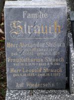 Strauch