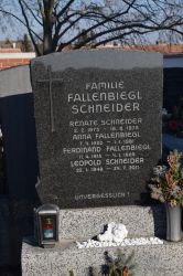 Fallenbiegl; Schneider