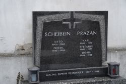 Scheibein; Prazan; Reininger