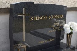 Dollinger; Schneider