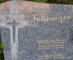 Fehringer; Kaufmann; Kokosits