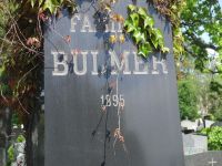 Bulmer (1895)