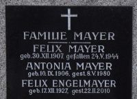 Mayer; Engelmayer