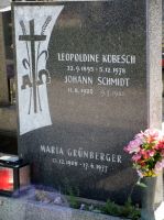 Kubesch; Schmidt; Grünberger