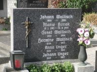 Wallisch; Horak; Unger