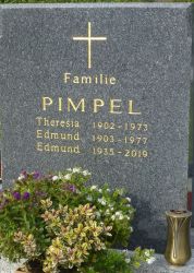 Pimpel