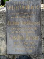 Steinhauser; Hauser