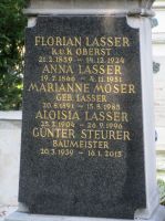 Lasser; Moser; Steurer