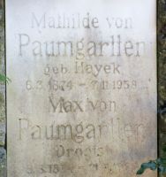 von Paumgartten; Hayek