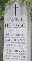 Herzog; Recknagel; Haslinger