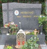 Mitrovic