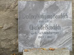 Baudisch; Schlumberger