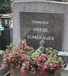 Hörbe; Sumerauer