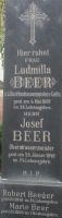 Beer; Heeger