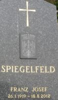 Spiegelfeld