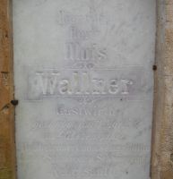 Wallner (1882)