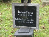 Bednar; Kohlbacher