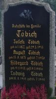 Töbich