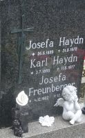 Haydn; Freunberger