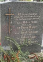 Angeli; Wieser; Aichinger; Hauer; Brauneis