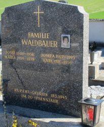 Waldbauer